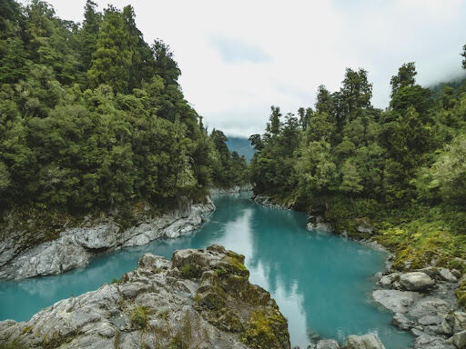 New Zealand Stays